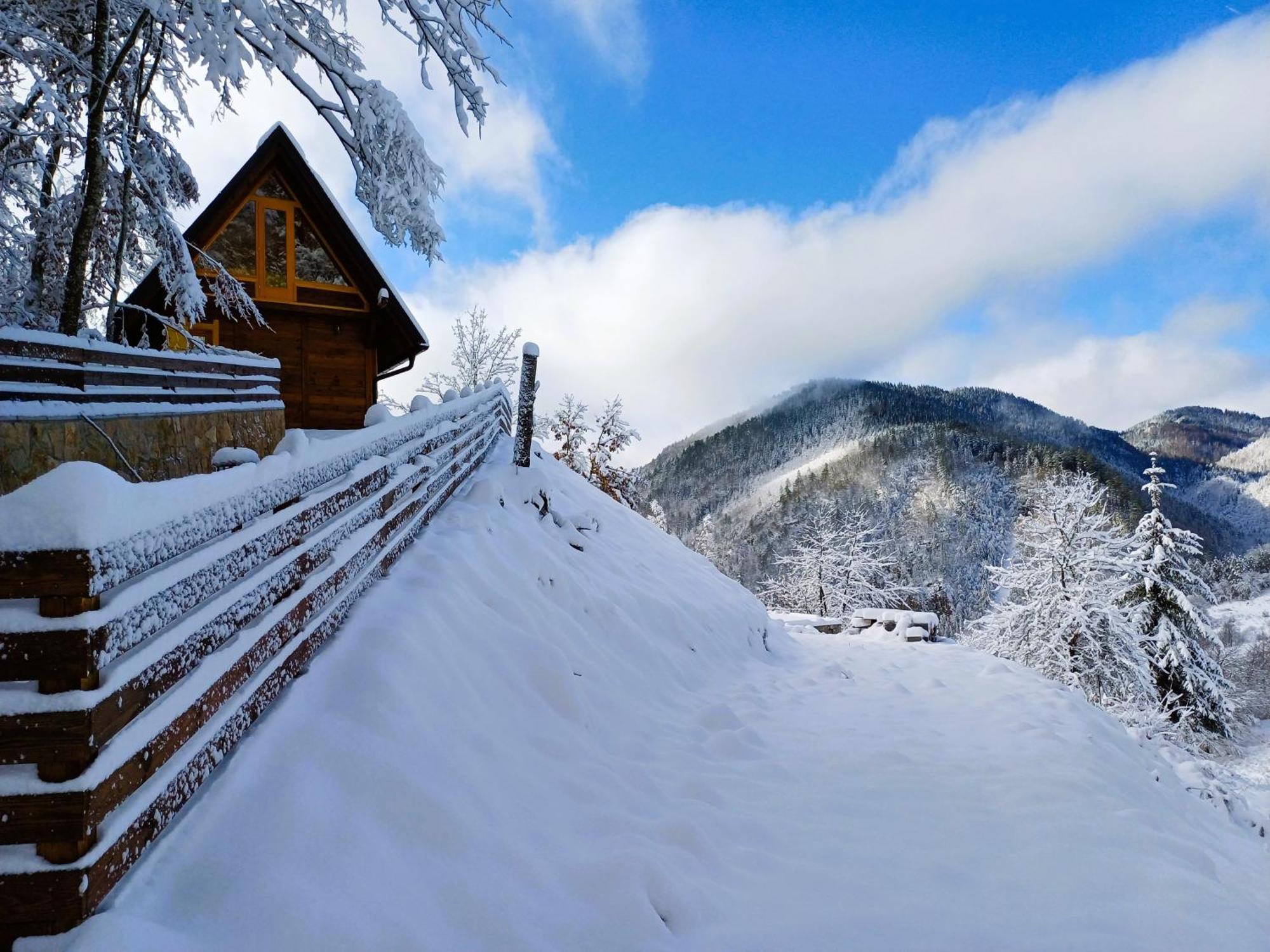 Drvene Kuce Suska - Wooden Houses Suska Zaovine Exterior photo